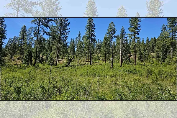 Property Photo MLS #: 202420007