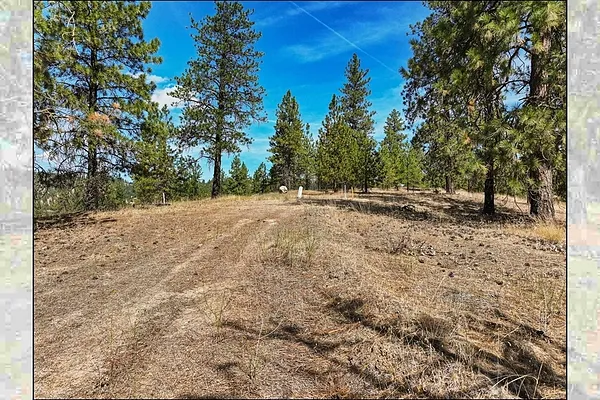 Property Photo MLS #: 202524009