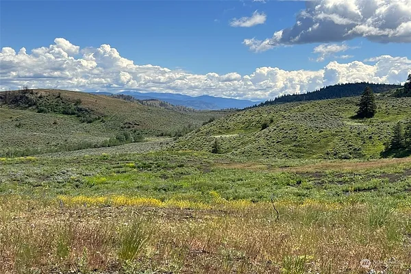 Property Photo MLS #: 2175009