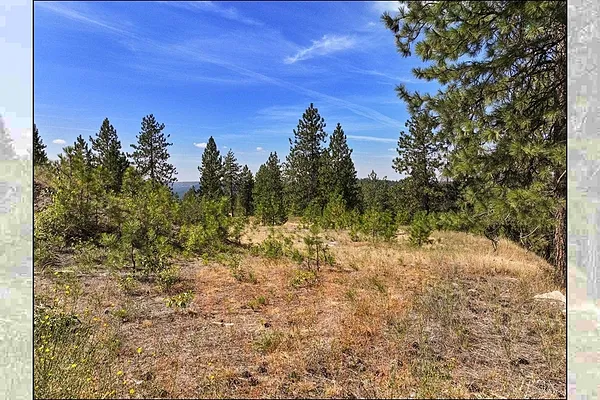Property Photo MLS #: 202524010