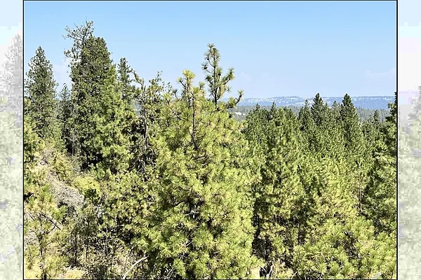 Property Photo MLS #: 202524021