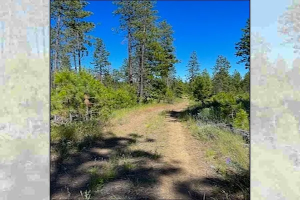 Property Photo MLS #: 202512031