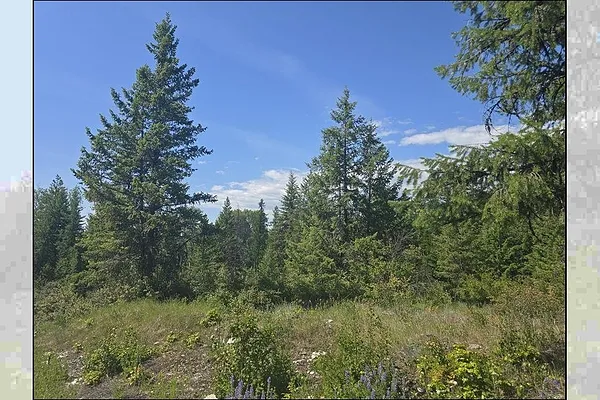 Property Photo MLS #: 202520036