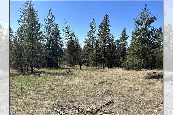 Property Photo MLS #: 202518039