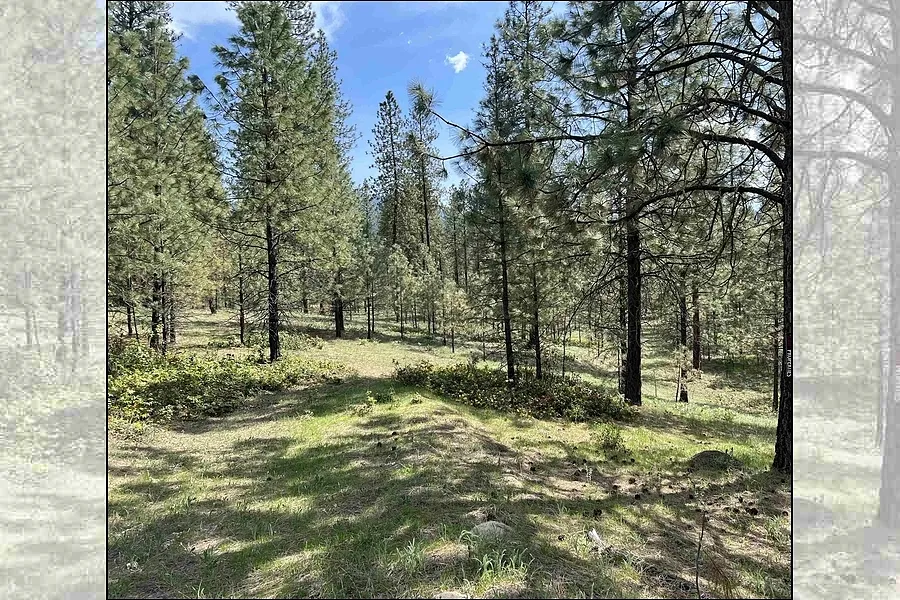 Property Photo MLS #: 202315040