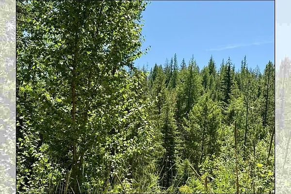Property Photo MLS #: 202521041