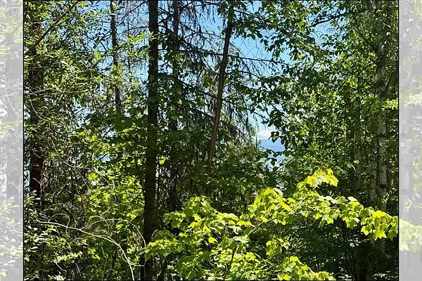 Property Photo MLS #: 202521042