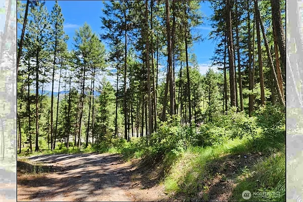 Property Photo MLS #: 2404053