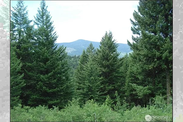 Property Photo MLS #: 2362056