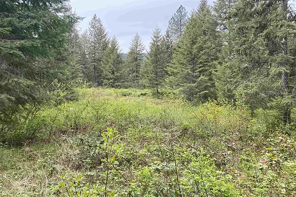Property Photo MLS #: 202424057