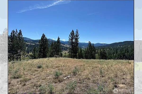 Property Photo MLS #: 2401069