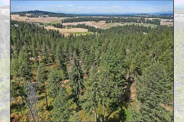 Property Photo MLS #: 202523082