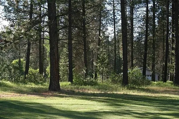 Property Photo MLS #: 202513085