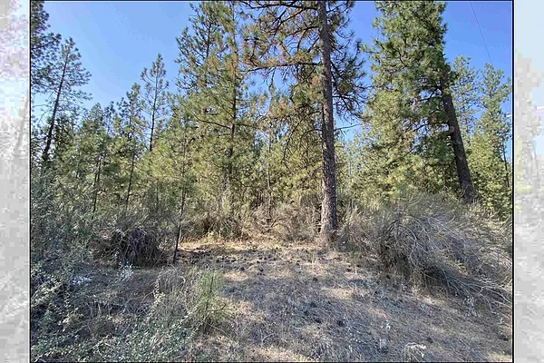 Property Photo MLS #: 202514097