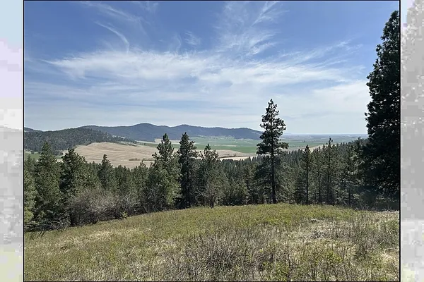 Property Photo MLS #: 202515098