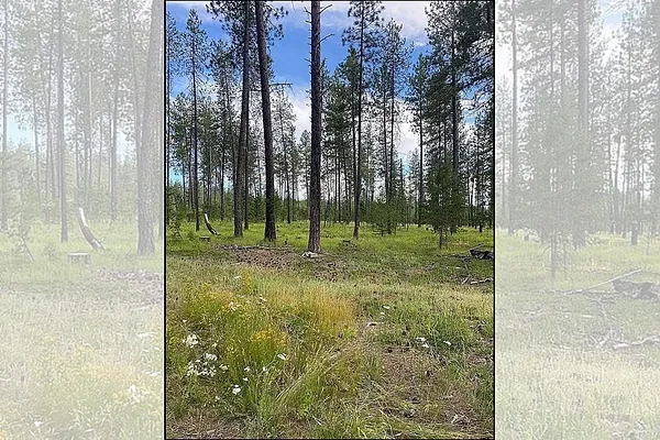 Property Photo MLS #: 202510112