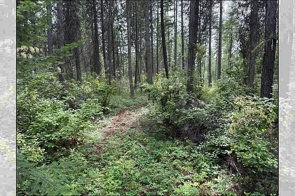 Property Photo MLS #: 202521122