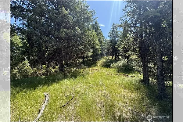 Property Photo MLS #: 2405126