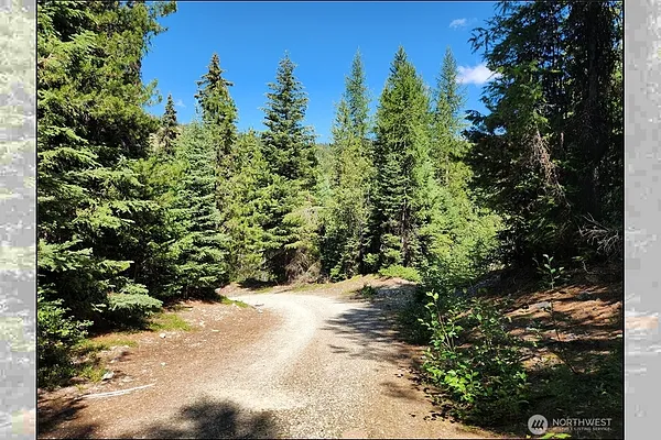 Property Photo MLS #: 2410128