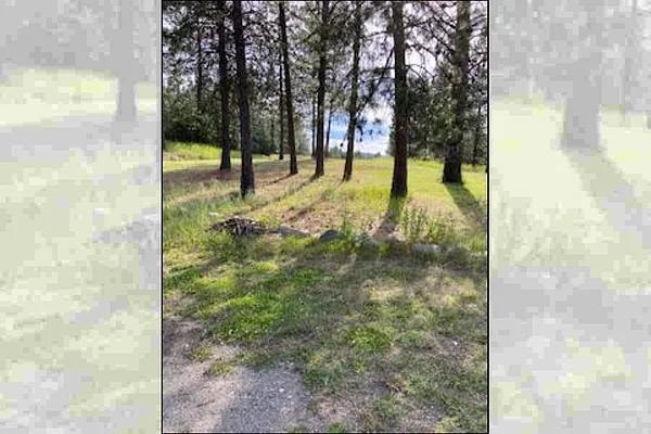 Property Photo MLS #: 202514130