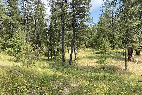 Property Photo MLS #: 202425131