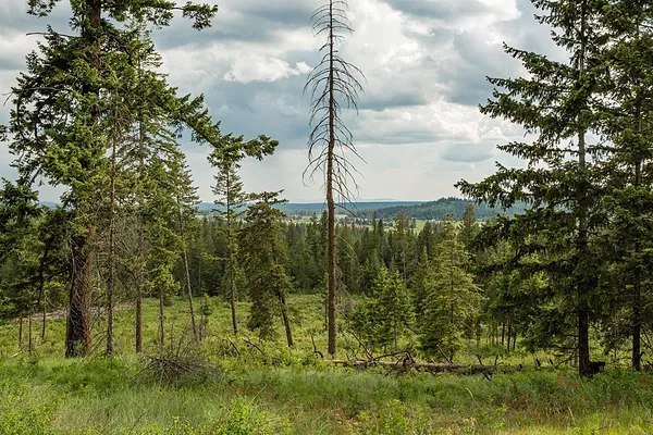 Property Photo MLS #: 202521132