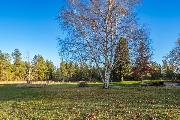 Property Photo MLS #: 202522132