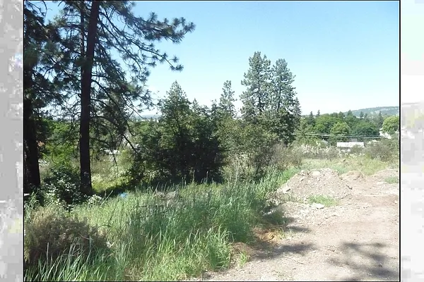 Property Photo MLS #: 202523138