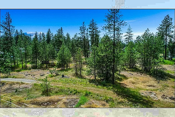 Property Photo MLS #: 202521147