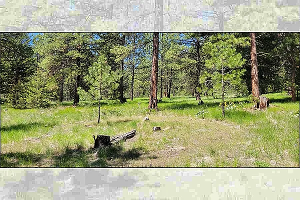 Property Photo MLS #: 2392147