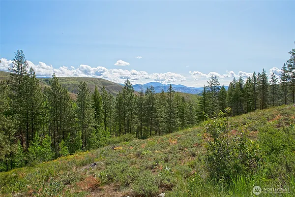 Property Photo MLS #: 2360154