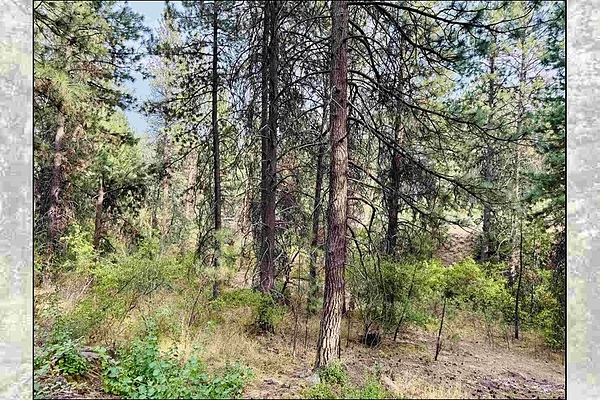 Property Photo MLS #: 202523162