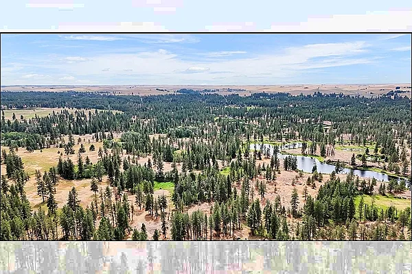 Property Photo MLS #: 202522166
