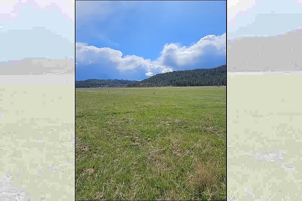 Property Photo MLS #: 202516168