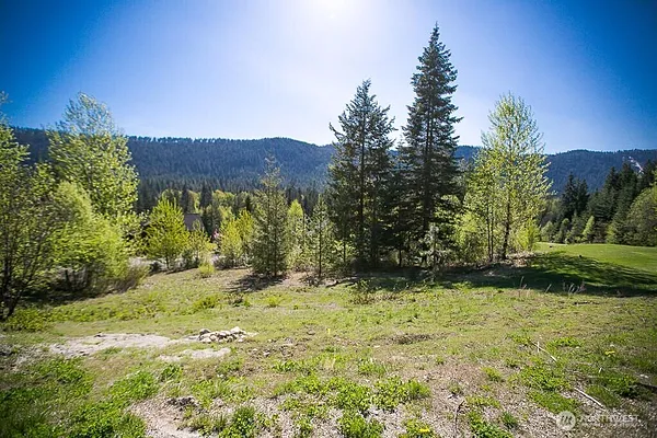 Property Photo MLS #: 2341168