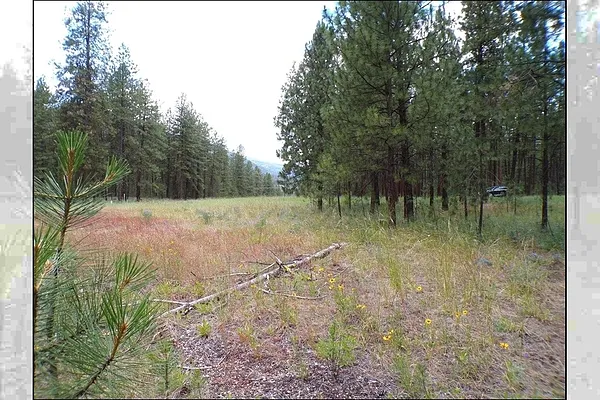 Property Photo MLS #: 202419175