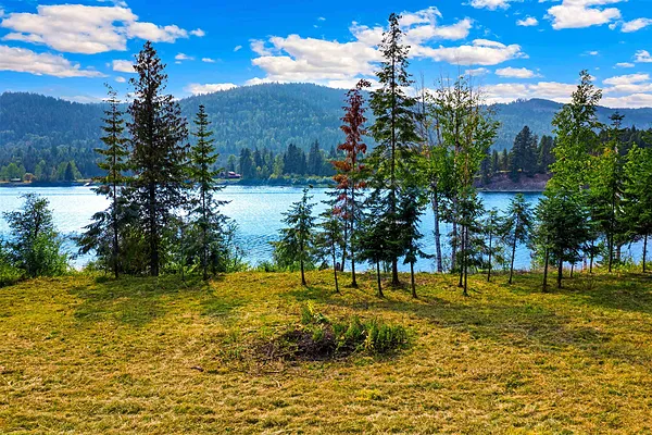 Property Photo MLS #: 202523178