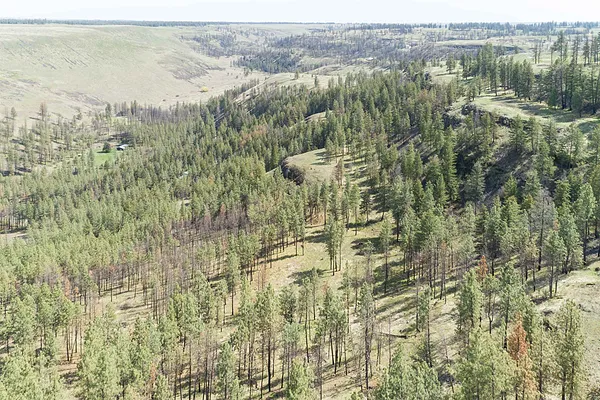 Property Photo MLS #: 202519184