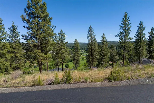 Property Photo MLS #: 202514199