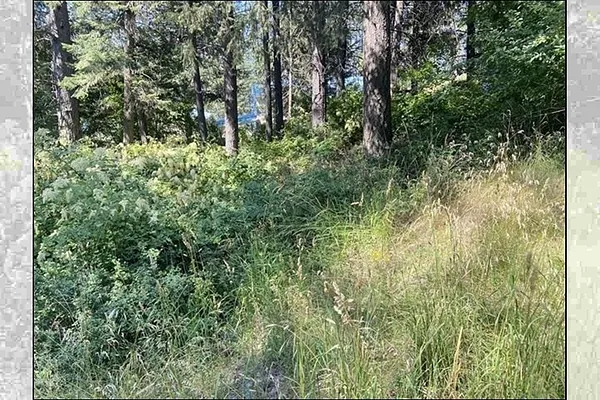 Property Photo MLS #: 202516200