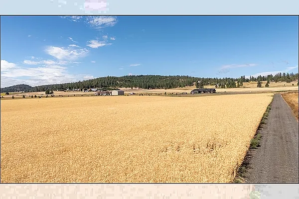 Property Photo MLS #: 202522204