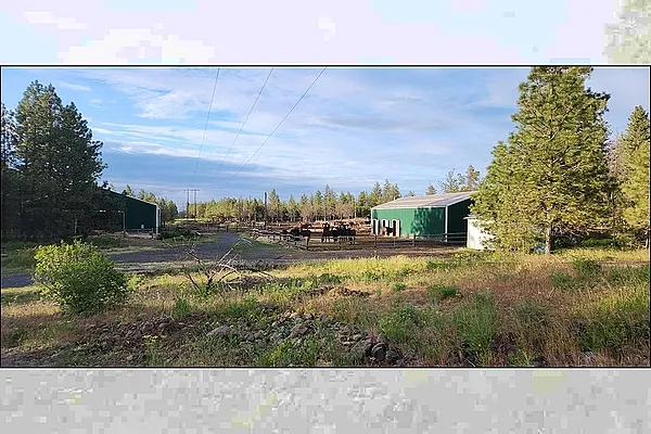 Property Photo MLS #: 202514205