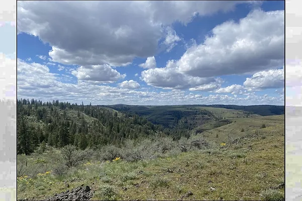 Property Photo MLS #: 202515208