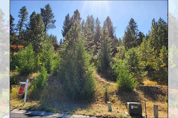 Property Photo MLS #: 202520220