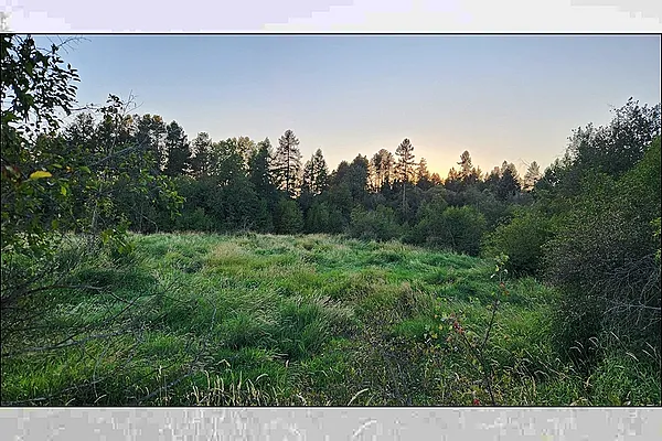 Property Photo MLS #: 202523220