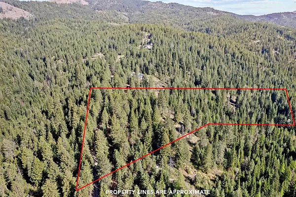 Property Photo MLS #: 202522224