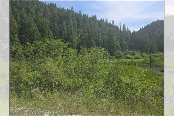 Property Photo MLS #: 202519238
