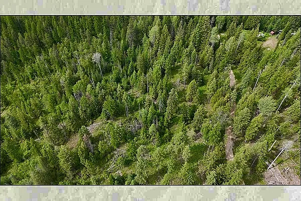 Property Photo MLS #: 202519241