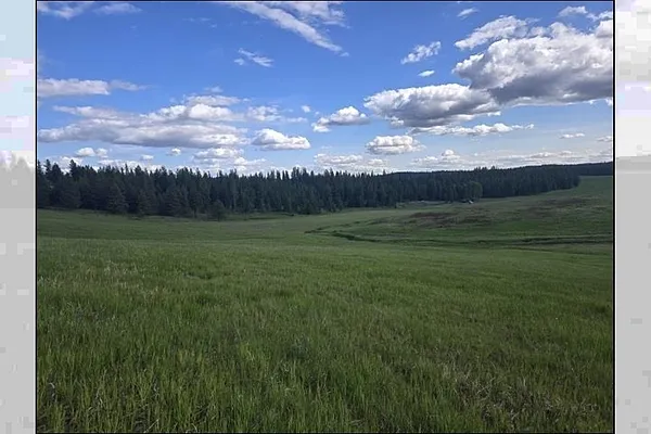 Property Photo MLS #: 202517243