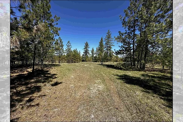 Property Photo MLS #: 202511252
